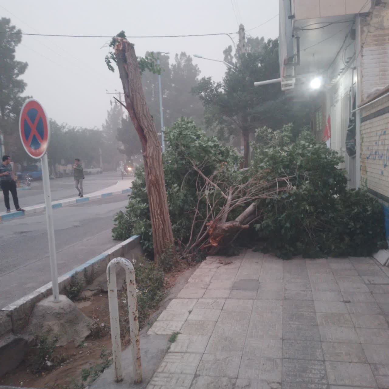 وقوع تندباد لحظهای و خیزش گردوخاک در مناطقی از استان اصفهان + عکس و فیلم