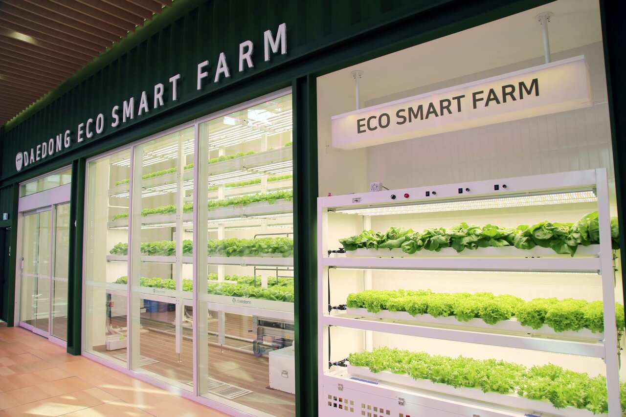 امنیت پایدار غذایی در شهرهای هوشمند با روشهای نوین کشاورزی