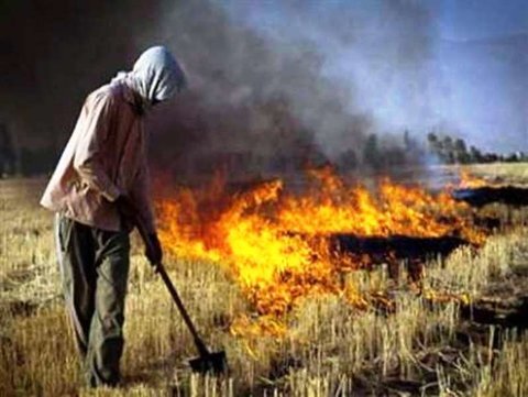 فصل آتشسوزی جنگلها؛ خطر در کمین ریههای زاگرس