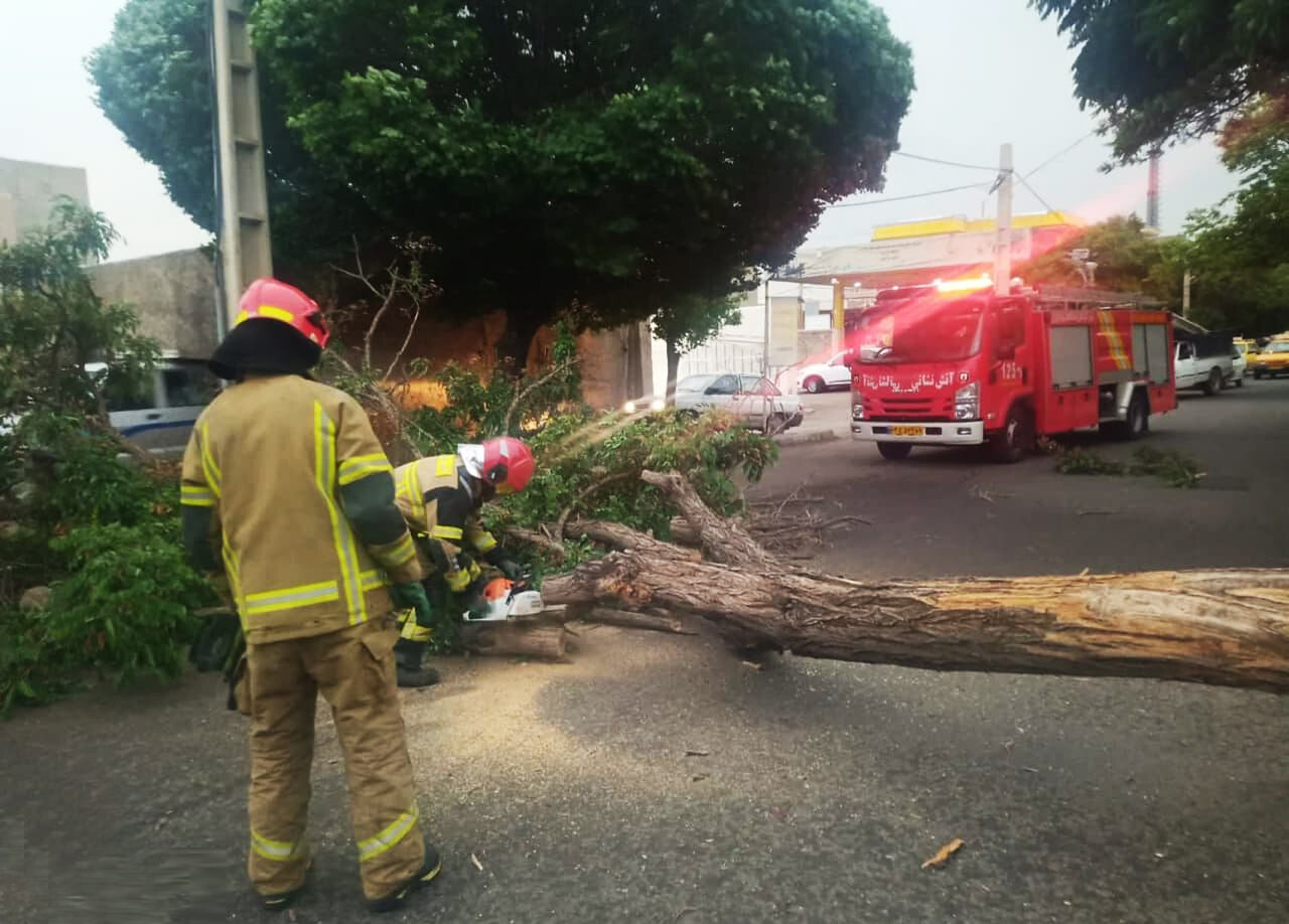 سقوط درخت روی خودرو درپی وزش باد شدید در قزوین