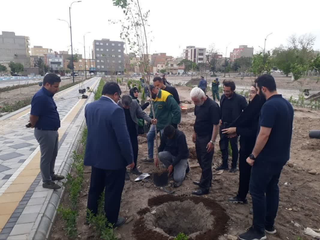 اقدام ابتکاری شهروند تبریزی با هدف مشارکت در گسترش فضای سبز
