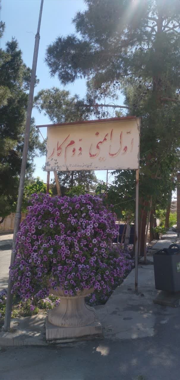 دستی بر چهره خسته «ریسباف»