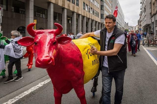 تظاهرات دامداران اروپایی به دلیل قیمت پایین شیر