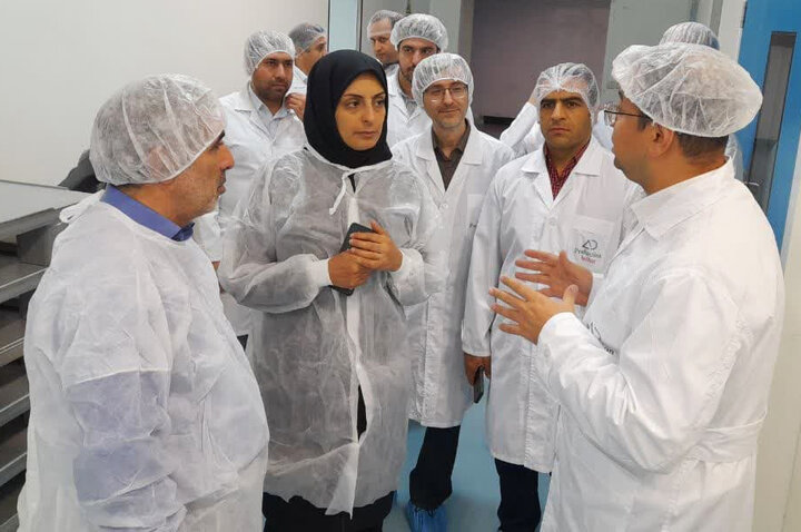 تخصیص یکمیلیارد دلار ارز برای صنایع غذا و دارو