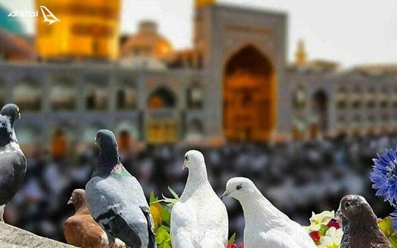 برای سفر شخصی به مشهد در عید قربان به چه نکاتی توجه کنیم؟