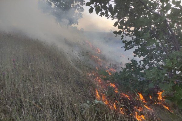 آتش‌سوزی‌ مراتع در مناطق مختلف کهگیلویه و بویراحمد کنترل شد