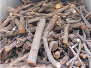 کشف ۵ تن چوب قاچاق در شهرستان کازرون