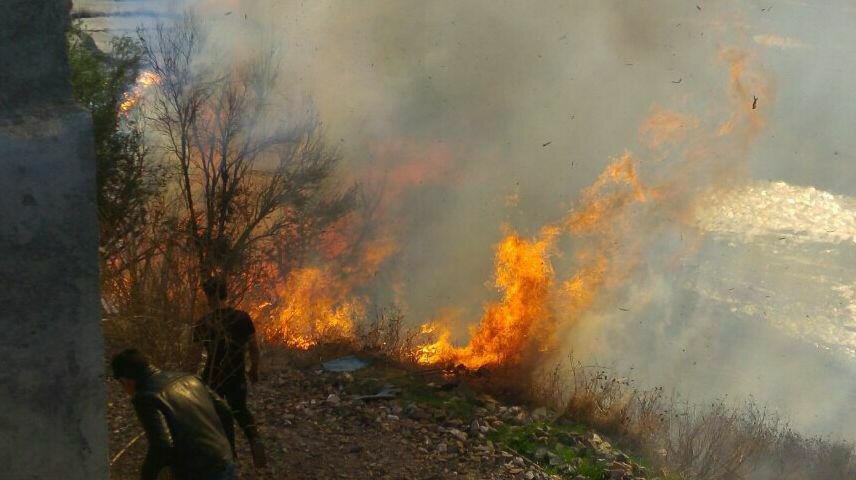 وقوع ۱۷ فقره آتش‌سوزی با عامل انسانی در کهگیلویه و بویراحمد