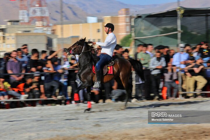 همایش شوی سواره کشوری اسب در شهرکرد