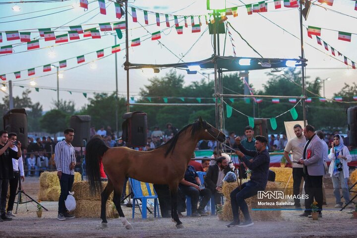 همایش شوی سواره کشوری اسب در شهرکرد