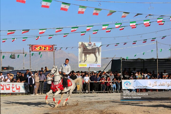 همایش شوی سواره کشوری اسب در شهرکرد