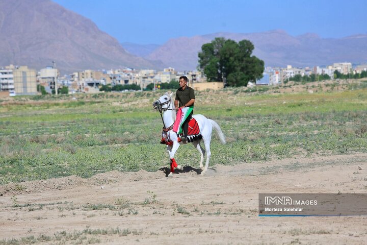 همایش شوی سواره کشوری اسب در شهرکرد