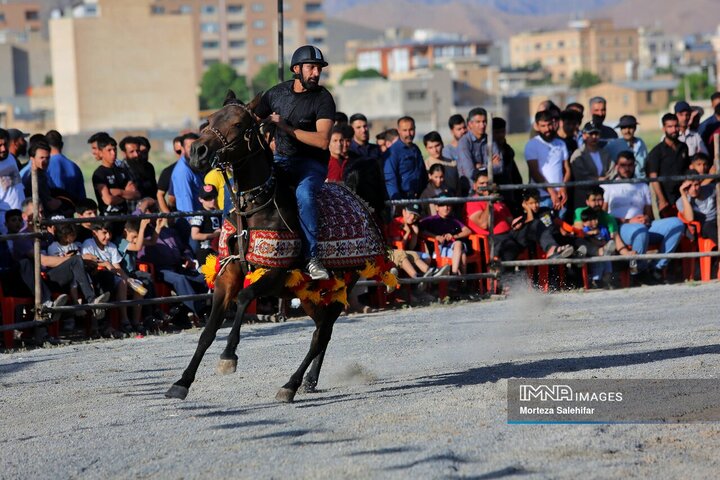 همایش شوی سواره کشوری اسب در شهرکرد