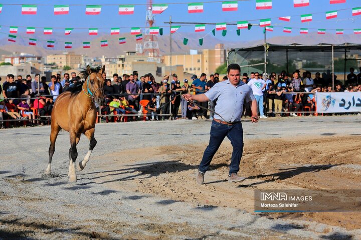 همایش شوی سواره کشوری اسب در شهرکرد