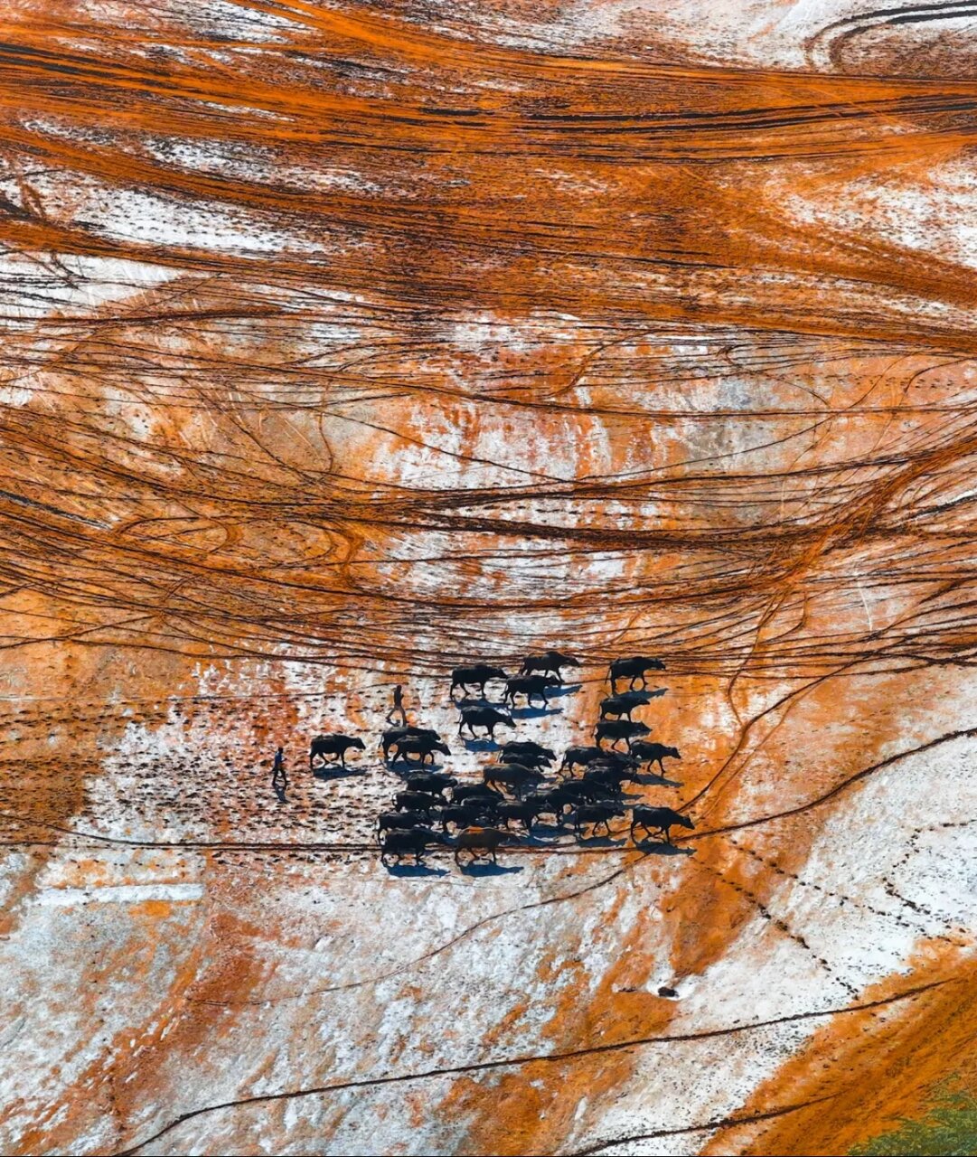 نگاهی به فینالیستهای جایزه عکاسی با پهباد ۲۰۲۴