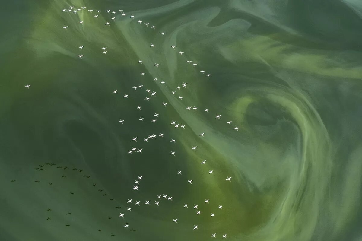 نگاهی به فینالیستهای جایزه عکاسی با پهباد ۲۰۲۴