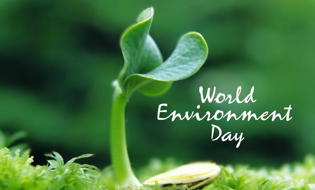 روز جهانی محیط زیست ۲۰۲۴ World Environment Day + تاریخچه، شعار و پوستر