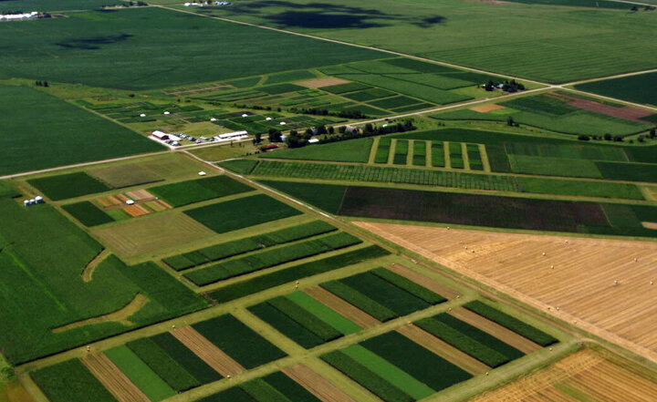 کشاورزی عامل مستقیم انتشار ۱۳.۵ درصد از گازهای گلخانه‌ای