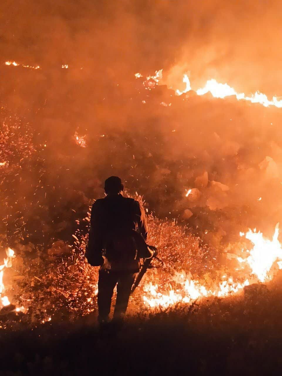 جنگل‌های روستای آب‌انار آبدانان همچنان در آتش می‌سوزد + فیلم