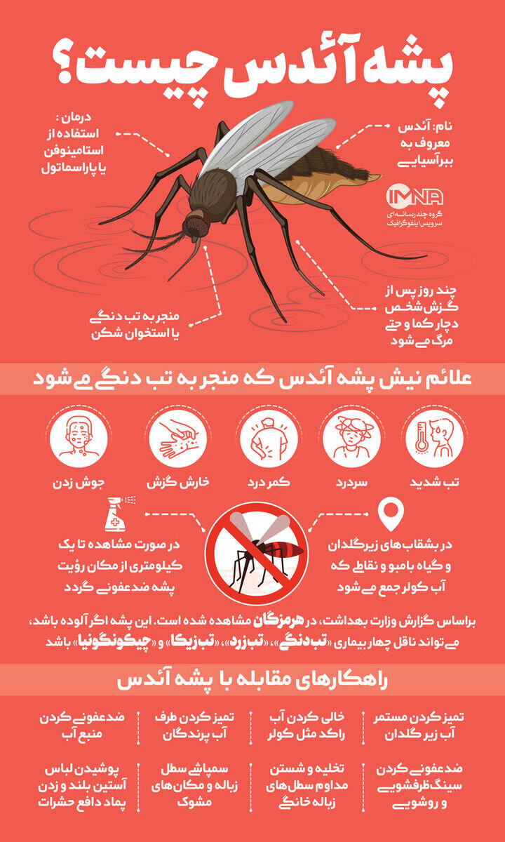 افزایش نگرانی ها از شیوع تب دانگ و استقرار پشه آئدس در استان فارس