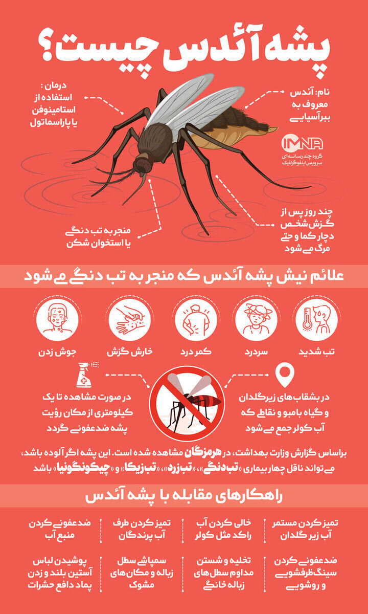 افزایش نگرانی ها از  شیوع تب دانگ و استقرار پشه آئدس در استان فارس