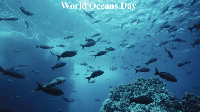 روز جهانی اقیانوسها ۱۴۰۳ + تاریخچه، شعار و پوستر World Oceans Day