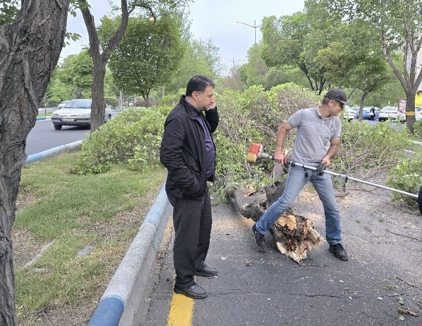 جمع‌آوری درختان شکسته پس از وزش تندباد شدید در تبریز