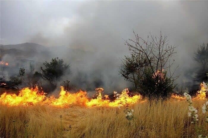 هشدار آتش‌نشانی قزوین نسبت به افزایش حریق در باغ‌ها و مزارع