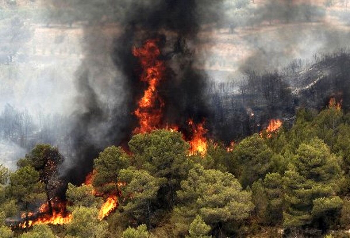 آتش بر جان جنگل‌های کرمانشاه / چندین نقطه استان درگیر حریق است