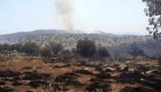 آتش‌ سوزی در پارک ملی بمو شیراز  مهار  شد