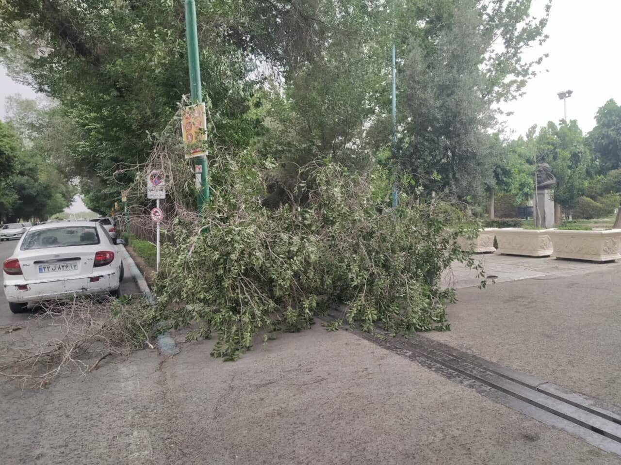 قطع درختان خطرآفرین گامی برای حفظ ایمنی شهرها