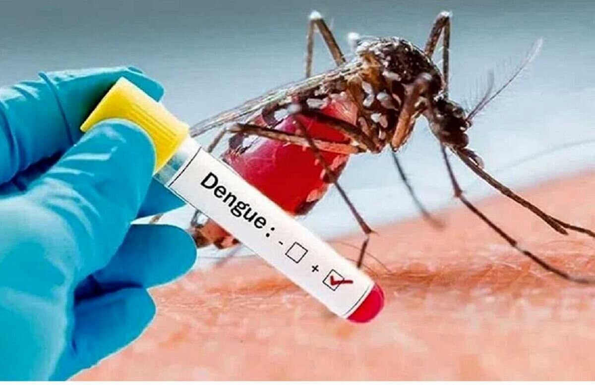 از برگزاری نخستین المپیاد ورزشی شهرداریهای کشور تا هفت توصیه برای پیشگیری از تب دنگی