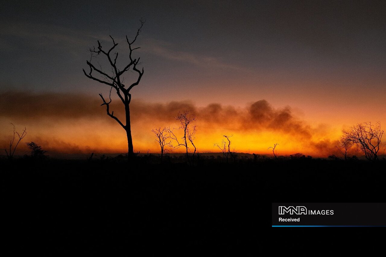 شکسته شدن رکورد انتشار گازهای گلخانهای ناشی از آتشسوزی در پرتغال