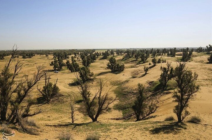 بیابان‌زایی بحران فراگیر دنیای امروز