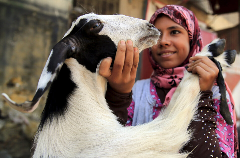 مراسم مختلف عید قربان در کشورهای اسلامی