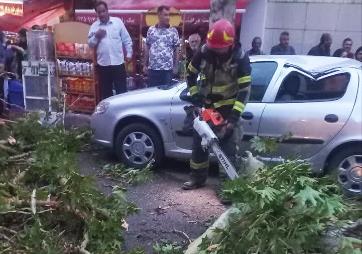 سقوط درخت روی ۲ خودرو بر اثر وزش باد شدید در قزوین