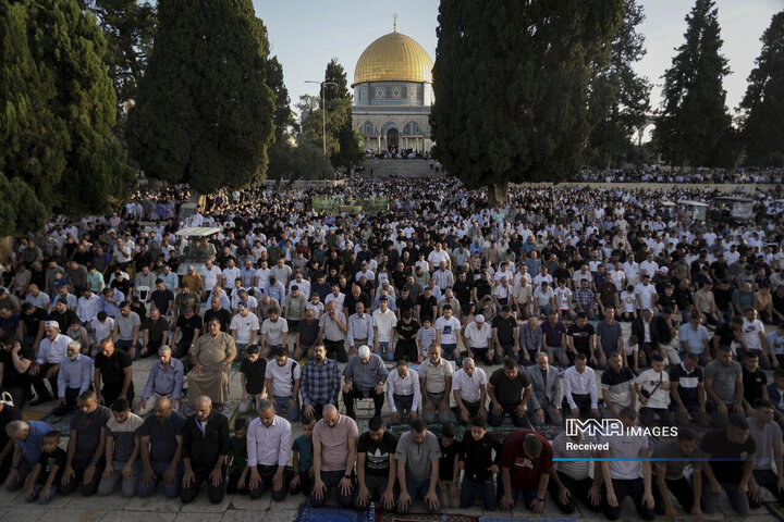 مسجد الاقصی، فلسطین