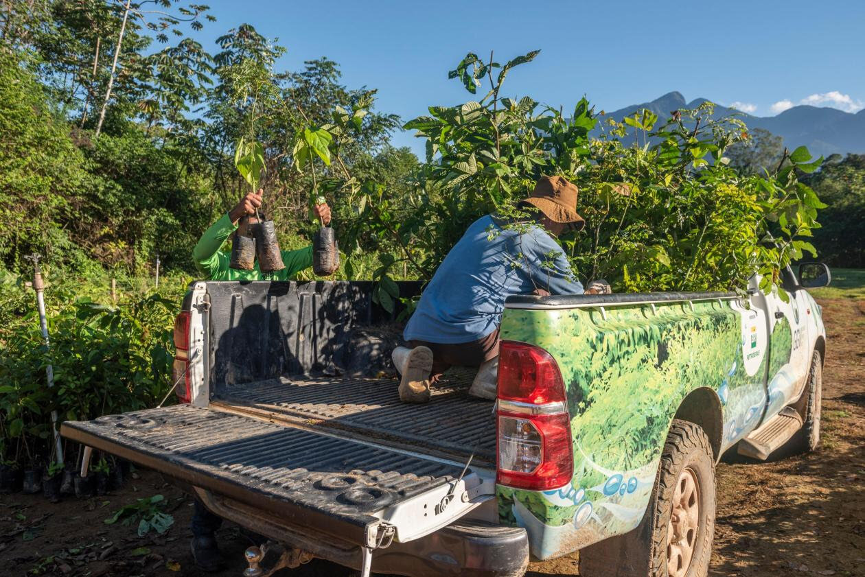 مقابله با کمبود آب با کمک طبیعت