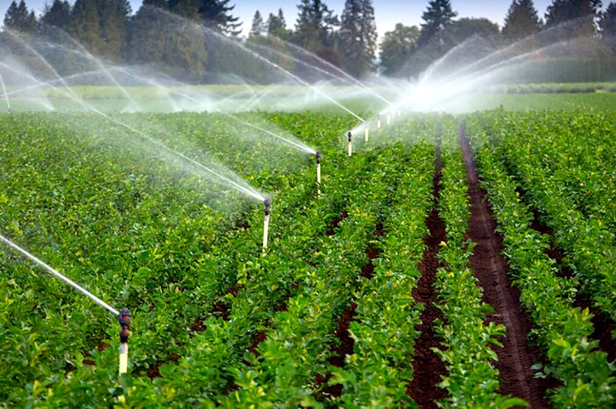 تجهیز بیش از ۵۰ درصد اراضی کشاورزی به سامانه‌های آبیاری سطحی