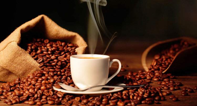 انواع دانه قهوه