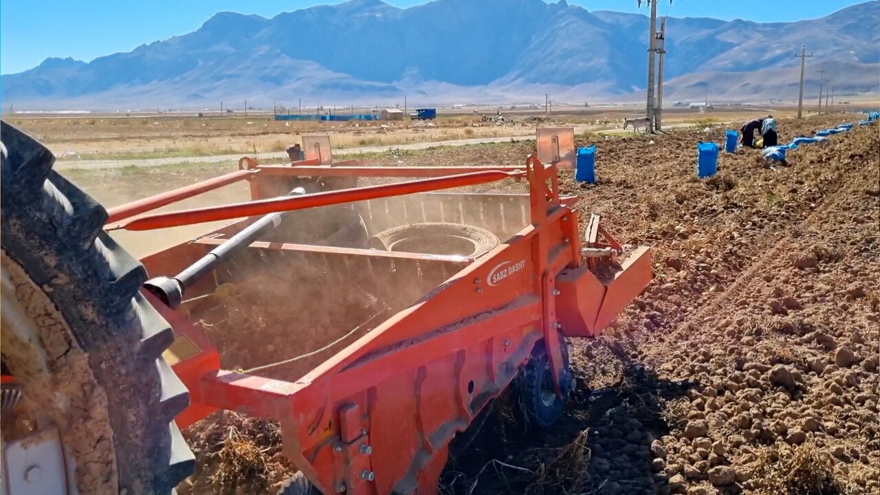 چالش خرید محصول در قطب سیبزمینی اصفهان؛ کشاورزان انتظار حمایت دارند