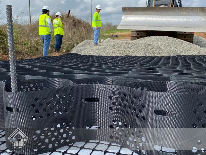 تمام نکات ناگفته شده درباره دنیای ژئوسل ها