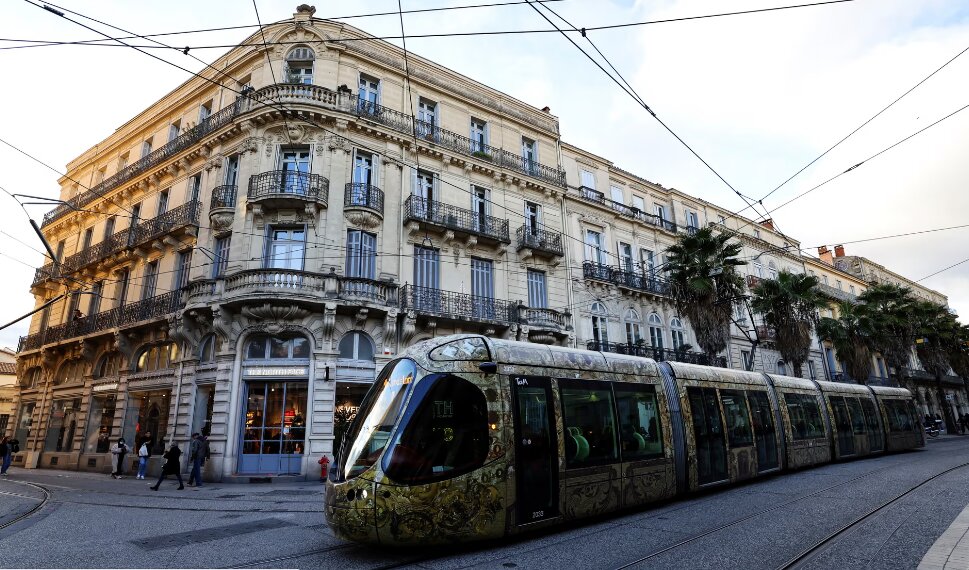 جهان در مدار خبرهای محیطزیستی امیدوارکننده