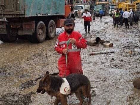 جزییات آخرین وضعیت سیلاب و جستوجوی مفقودان در سوادکوه+تصاویر