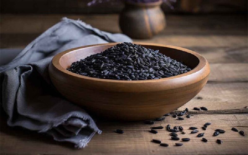 از طرح تولید داروی گیاهی درمان سرطان تا راهاندازی هلدینگ نوآوری ایران