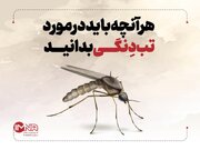 هر آنچه باید در مورد تب دنگی بدانید