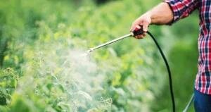 خرید سم تابستانه