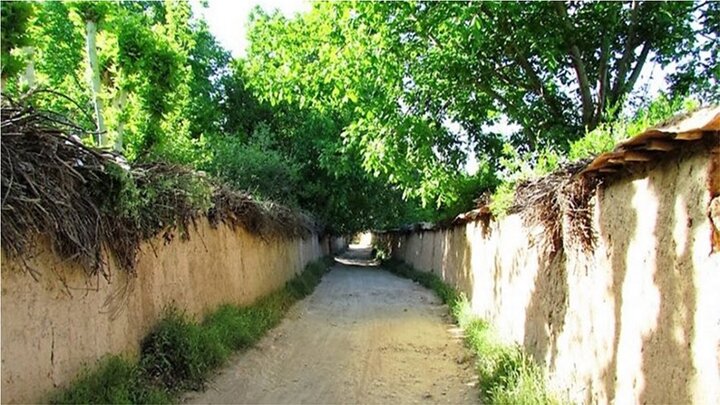 فاجعه زیست محیطی در کلانشهر شیراز/ روزانه بیش از ۲۴ متر از باغات از بین می‌رود