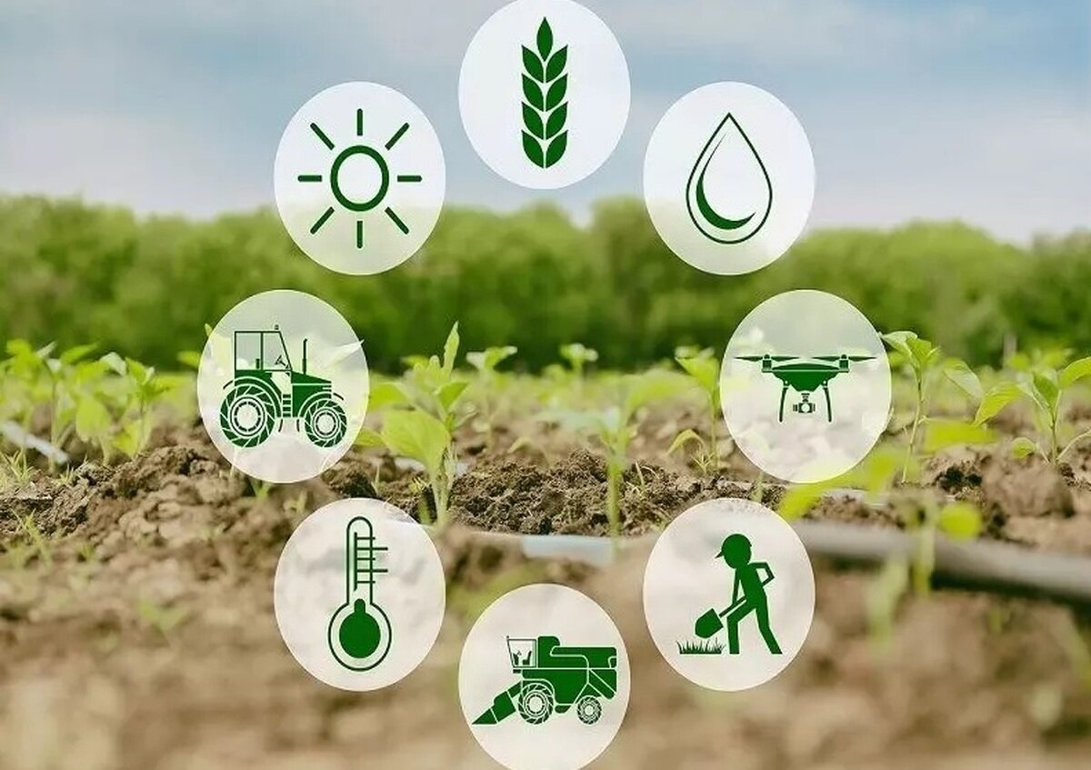 نظام مهندسی کشاورزی بر شکل‌گیری توسعه پایدار در مازندران تاثیرگذار است