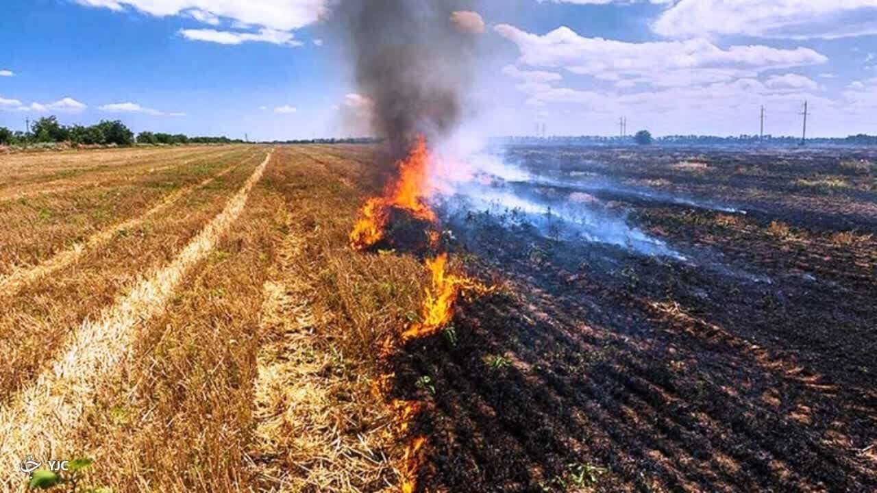 توصیه‌های ایمنی برای کاهش حوادث آتش‌سوزی ضایعات کشاورزی و نیزارها